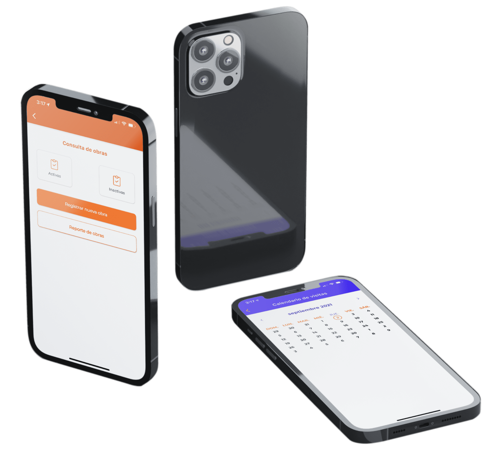 Aplicación de Pro Inspector